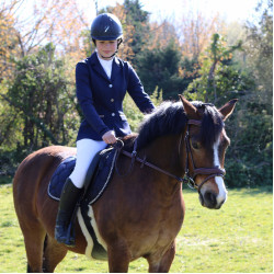 Brida Flags & Cup Comfort combinada Castaño Marrón