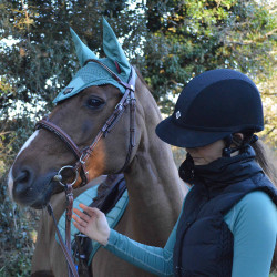 Casco Charles Owen SP8 Plus Micro-suede Casco Charles Owen SP8 Plus Micro-suede