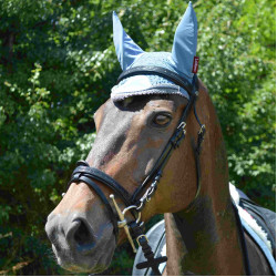 Cabezada Canter Black strass Cabezada Canter Black strass