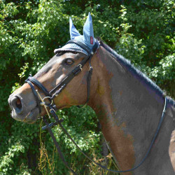 Cabezada Canter Black strass Cabezada Canter Black strass