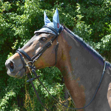 Cabezada Canter Black strass Cabezada Canter Black strass