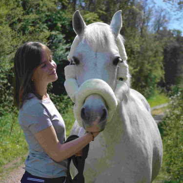 Cabezada de transporte Flags & Cup Natural Marr&amp;oacute;n