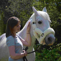 Cabezada de transporte Flags & Cup Natural Marrón