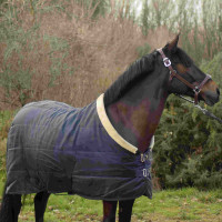 Manta de cuadra Equi-Theme Teddy Azul marino