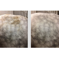 Easy Shine Mouss Ravene Easy Shine Mouss Ravene