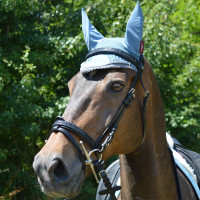 Orejera anti moscas LeMieux Classic Azul hielo