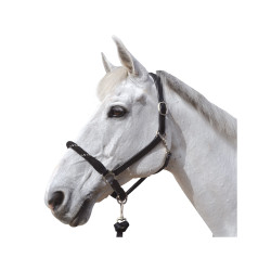 Cabezada de cuadra cuerda Canter hebillas blancas Cabezada de cuadra cuerda Canter hebillas blancas