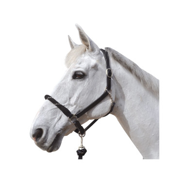 Cabezada de cuadra cuerda Canter hebillas blancas Cabezada de cuadra cuerda Canter hebillas blancas