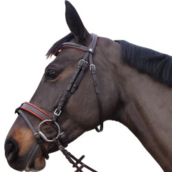 Brida Canter Alme