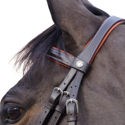 Brida Canter Alme Castaño Marrón