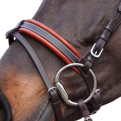 Brida Canter Alme Castaño Marrón