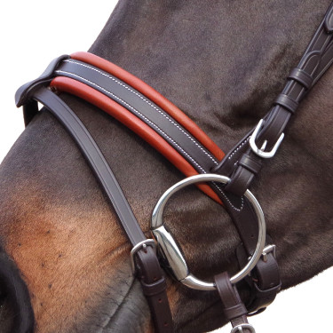 Brida Canter Alme Castaño Marrón