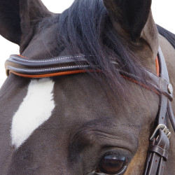 Brida Canter Alme Castaño Marrón