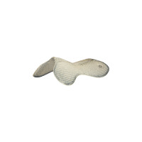 Salvacruz Acavallo Gel
