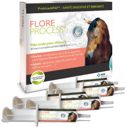Flore process Flore process