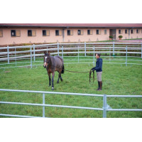 Círculo de trabajo...