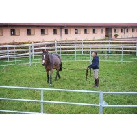 Círculo de trabajo...