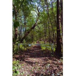 Barrera de bosque 3/5 m La Gée