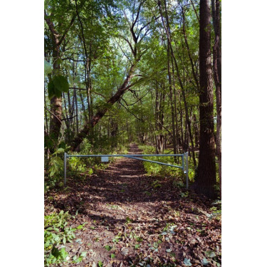 Barrera de bosque 3/5 m La Gée