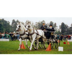 Juego de bolas de cono y tensión La Gée