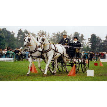 Juego de bolas de cono y tensión La Gée