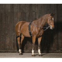 Chambón con poleas Norton