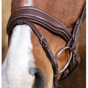 Cabezada de equitación Norton Pro Miss de cuero