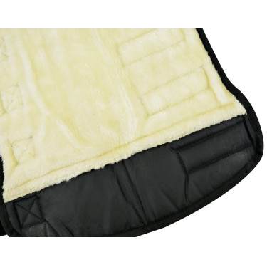 Protectores de transporte bajos Protectores de transporte bajos