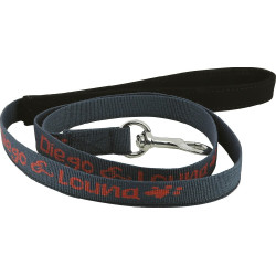 Correa de nailon Diego & Louna para perros Antracita Gris Correa de nailon Diego & Louna para perros Antracita Gris