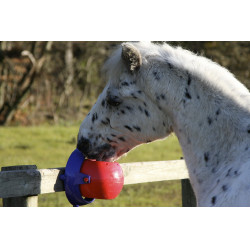 Likit Tongue Twister Roja Rojo