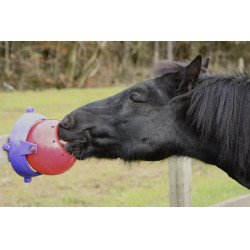 Likit Tongue Twister Roja Rojo