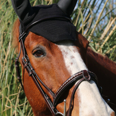 Cabezada Pénélope Point Sellier Havana Marrón Cabezada Pénélope Point Sellier Havana Marrón