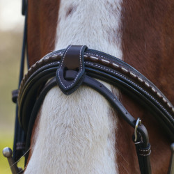 Cabezada Pénélope Point Sellier Havana Marrón Cabezada Pénélope Point Sellier Havana Marrón