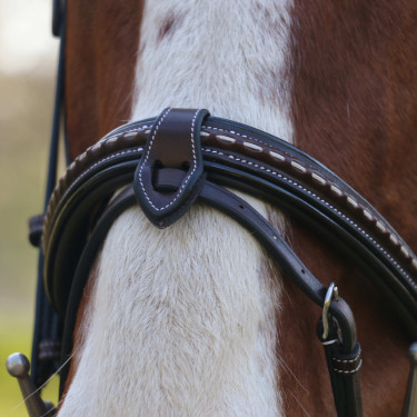 Cabezada Pénélope Point Sellier Havana Marrón Cabezada Pénélope Point Sellier Havana Marrón