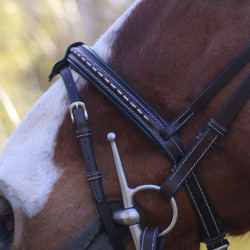 Cabezada Pénélope Point Sellier Havana Marrón Cabezada Pénélope Point Sellier Havana Marrón