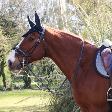 Cabezada Pénélope Point Sellier Havana Marrón Cabezada Pénélope Point Sellier Havana Marrón