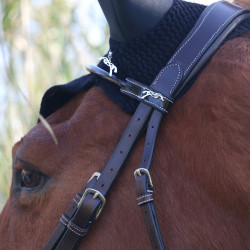 Cabezada Pénélope Point Sellier Havana Marrón Cabezada Pénélope Point Sellier Havana Marrón