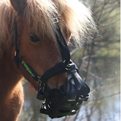 Greenguard Viejo modelo negro