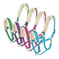 Cabezada para Dar Cuerda Horze Azul turquesa