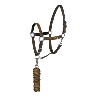 Conjunto de cabezada y ramal Chicago Horze Marrón / bronce
