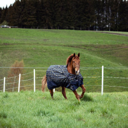 Cabezada Carlisle Horze Cabezada Carlisle Horze