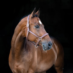 Cabezada de Cuadra de Cuero Suave Warren Horze Cabezada de Cuadra de Cuero Suave Warren Horze
