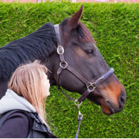 Cabezada de cuadra CHETAK cuerda Cabezada de cuadra CHETAK cuerda