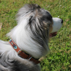 Collar para perro Pénélope Pearl Collar para perro Pénélope Pearl