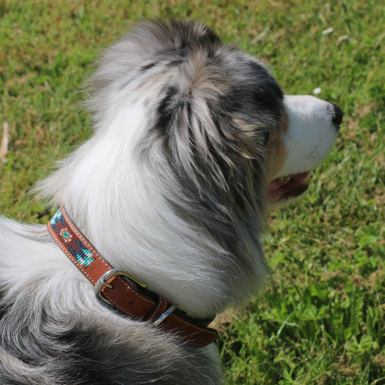 Collar para perro Pénélope Pearl Collar para perro Pénélope Pearl