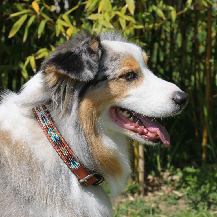 Collar para perro Pénélope Pearl Collar para perro Pénélope Pearl