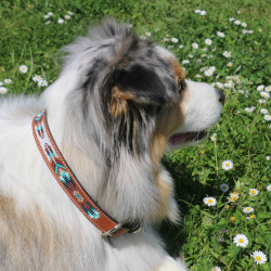 Collar para perro Pénélope Pearl Collar para perro Pénélope Pearl