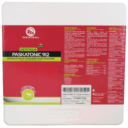 copy of PASKATONIC 912 paskacheval copy of PASKATONIC 912 paskacheval