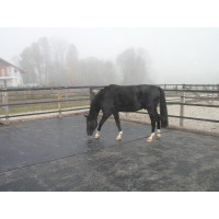 Delta Diam 12 - Suelo de goma remolque y furgoneta