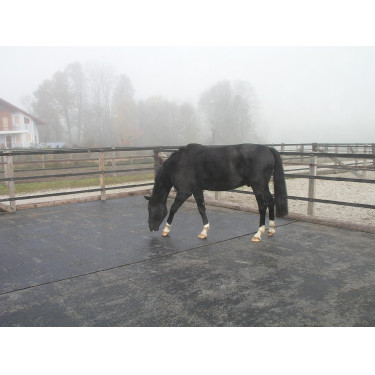 Delta Diam 12 - Suelo de goma remolque y furgoneta